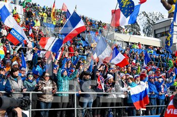 2020-02-16 - I tifosi francesi esultano per la vittoria di Emilien Jacquelin (FRA) - IBU WORLD CUP BIATHLON 2020 - 12,5 KM INSEGUIMENTO MASCHILE - BIATHLON - WINTER SPORTS