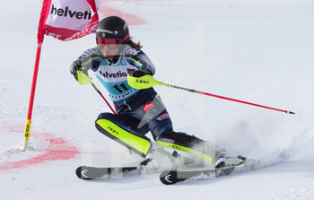 2019-12-15 - Swen Larsson Anna


 - COPPA DEL MONDO - PARALLEL SLALOM FEMMINILE - ALPINE SKIING - WINTER SPORTS