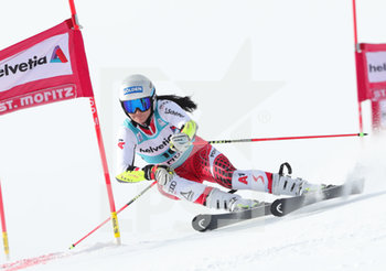 2019-12-15 - Gritsch Franziska

 - COPPA DEL MONDO - PARALLEL SLALOM FEMMINILE - ALPINE SKIING - WINTER SPORTS
