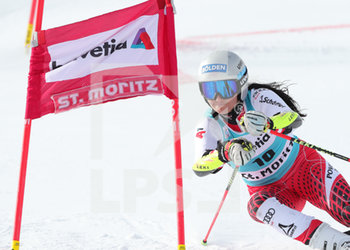 2019-12-15 - Gritsch Franziska


 - COPPA DEL MONDO - PARALLEL SLALOM FEMMINILE - ALPINE SKIING - WINTER SPORTS