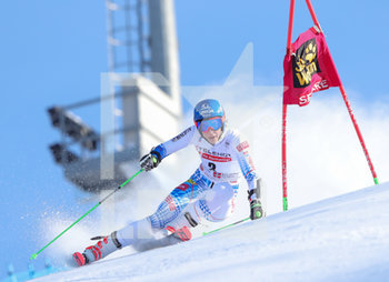 2020-01-18 - VLHOVA Petra (SVK) 2nd CLASSIFIED


 - COPPA DEL MONDO - SLALOM G FEMMINILE - ALPINE SKIING - WINTER SPORTS