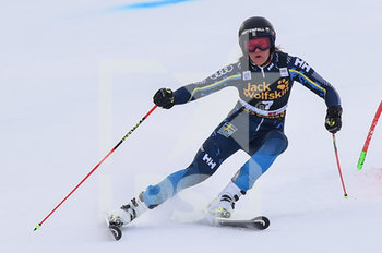 2020-01-19 - SWENN LARSSON Anna (SWE) - COPPA DEL MONDO - PARALLEL GS FEMMINILE - ALPINE SKIING - WINTER SPORTS