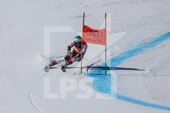 2021-02-11 - Vincent KRIECHMAYR (AUT) - 2021 FIS ALPINE WORLD SKI CHAMPIONSHIPS - SUPER G - MEN - ALPINE SKIING - WINTER SPORTS