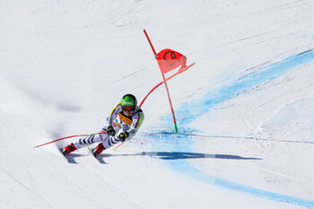2021-02-11 - Andreas SANDER (GER) - 2021 FIS ALPINE WORLD SKI CHAMPIONSHIPS - SUPER G - MEN - ALPINE SKIING - WINTER SPORTS