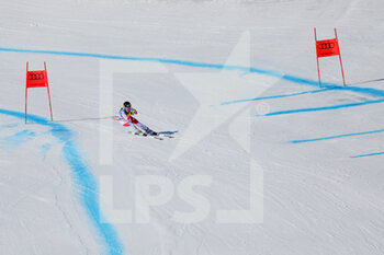 2021-02-11 - Ester LEDECKA (CZE) - 2021 FIS ALPINE WORLD SKI CHAMPIONSHIPS - SUPER G - WOMEN - ALPINE SKIING - WINTER SPORTS