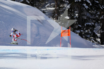2021-02-13 - SUTER Corinne (SWI) in action - 2021 FIS ALPINE WORLD SKI CHAMPIONSHIPS - DOWNHILL - WOMEN - ALPINE SKIING - WINTER SPORTS