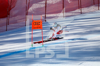 2021-02-13 - GISIN Michelle (SWI) in action - 2021 FIS ALPINE WORLD SKI CHAMPIONSHIPS - DOWNHILL - WOMEN - ALPINE SKIING - WINTER SPORTS