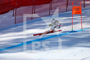 2021-02-13 - LEDECKA Ester (CZE) in action - 2021 FIS ALPINE WORLD SKI CHAMPIONSHIPS - DOWNHILL - WOMEN - ALPINE SKIING - WINTER SPORTS