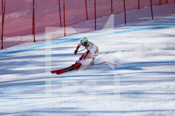 2021-02-13 - PUCHNER Mirjam (AUT) in action - 2021 FIS ALPINE WORLD SKI CHAMPIONSHIPS - DOWNHILL - WOMEN - ALPINE SKIING - WINTER SPORTS