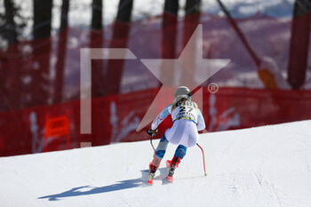2021-02-13 - WRIGHT Isabella (USA) in action - 2021 FIS ALPINE WORLD SKI CHAMPIONSHIPS - DOWNHILL - WOMEN - ALPINE SKIING - WINTER SPORTS