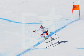 2021-02-14 - FEUZ Beat SUI in action - 2021 FIS ALPINE WORLD SKI CHAMPIONSHIPS - DOWNHILL - MEN - ALPINE SKIING - WINTER SPORTS