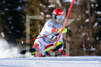2021-02-15 - MEILLARD Loic SUI - 2021 FIS ALPINE WORLD SKI CHAMPIONSHIPS - ALPINE COMBINED - MEN - WOMEN - ALPINE SKIING - WINTER SPORTS