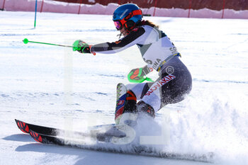 2021-02-15 - VLHOVA Petra (SVK) Silver Medal - 2021 FIS ALPINE WORLD SKI CHAMPIONSHIPS - ALPINE COMBINED - WOMEN - ALPINE SKIING - WINTER SPORTS
