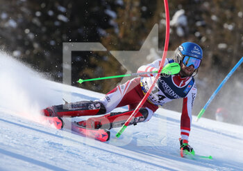 2021-02-15 -  SCHWARZ Marco (AUT) Gold Medal  - 2021 FIS ALPINE WORLD SKI CHAMPIONSHIPS - COMBINED SUPER G - MEN - ALPINE SKIING - WINTER SPORTS