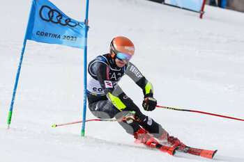 2021-02-16 - Filip ZUBCIC (CRO) - 2021 FIS ALPINE WORLD SKI CHAMPIONSHIPS - PARALLEL GIANT SLALOM - MEN - ALPINE SKIING - WINTER SPORTS