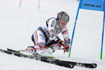 2021-02-16 - Mathieu FAIVRE (FRA) the winner - 2021 FIS ALPINE WORLD SKI CHAMPIONSHIPS - PARALLEL GIANT SLALOM - MEN - ALPINE SKIING - WINTER SPORTS