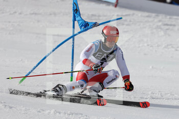 2021-02-16 - MEILLARD Loic (SUI) Bronze Medal  - 2021 FIS ALPINE WORLD SKI CHAMPIONSHIPS - PARALLEL GIANT SLALOM - MEN - ALPINE SKIING - WINTER SPORTS