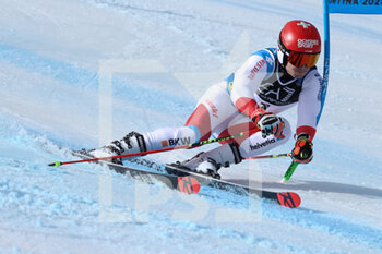2021-02-16 - MEILLARD Loic (SUI) Bronze Medal - 2021 FIS ALPINE WORLD SKI CHAMPIONSHIPS - PARALLEL GIANT SLALOM - MEN - ALPINE SKIING - WINTER SPORTS