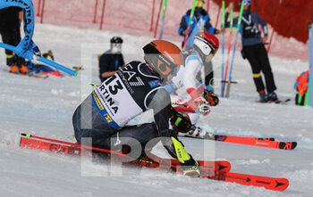 2021-02-16 - ZUBCIC Filip (CRO) Silver Medal  - 2021 FIS ALPINE WORLD SKI CHAMPIONSHIPS - PARALLEL GIANT SLALOM - MEN - ALPINE SKIING - WINTER SPORTS