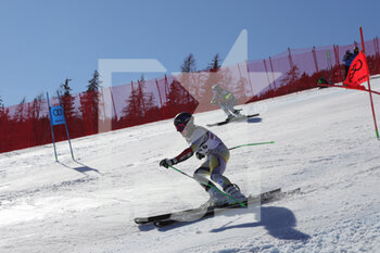 2021-02-17 - Team Norway Gold Medal - 2021 FIS ALPINE WORLD SKI CHAMPIONSHIPS - ALPINE TEAM PARALLEL - ALPINE SKIING - WINTER SPORTS