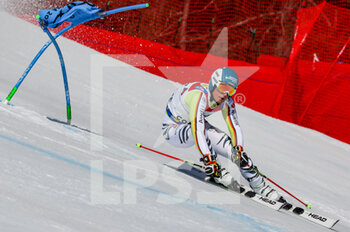 2021-02-19 - Alexander SCHMID (GER) - 2021 FIS ALPINE WORLD SKI CHAMPIONSHIPS - GIANT SLALOM - MEN - ALPINE SKIING - WINTER SPORTS