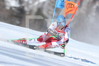 2021-02-19 - SCHWARZ Marco (AUT) Bronze Medal - 2021 FIS ALPINE WORLD SKI CHAMPIONSHIPS - GIANT SLALOM - MEN - ALPINE SKIING - WINTER SPORTS