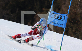 2021 FIS Alpine World SKI Championships - Giant Slalom - Men - ALPINE SKIING - WINTER SPORTS