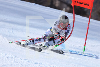 2021-02-19 - FAIVRE Mathieu (FRA) Gold Medal - 2021 FIS ALPINE WORLD SKI CHAMPIONSHIPS - GIANT SLALOM - MEN - ALPINE SKIING - WINTER SPORTS