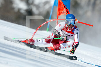 2021-02-19 - Marco Schwarz (AUT) holds 6th position after the first run - 2021 FIS ALPINE WORLD SKI CHAMPIONSHIPS - GIANT SLALOM - MEN - ALPINE SKIING - WINTER SPORTS