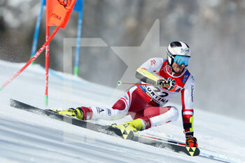 2021-02-19 - Stefan Brennstainer (AUT) in action - 2021 FIS ALPINE WORLD SKI CHAMPIONSHIPS - GIANT SLALOM - MEN - ALPINE SKIING - WINTER SPORTS