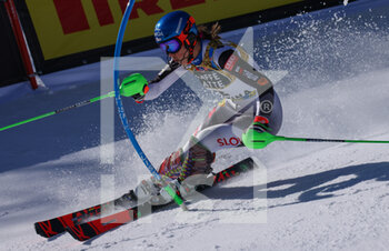 2021-02-20 - VLHOVA Petra (SVK) Silver Medal  - 2021 FIS ALPINE WORLD SKI CHAMPIONSHIPS - SLALOM - WOMEN - ALPINE SKIING - WINTER SPORTS