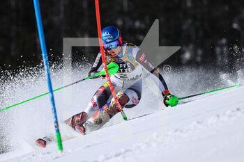 2021-02-20 - VLHOVA Petra (SVK) Silver Medal - 2021 FIS ALPINE WORLD SKI CHAMPIONSHIPS - SLALOM - WOMEN - ALPINE SKIING - WINTER SPORTS