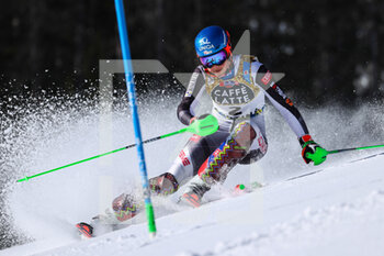2021-02-20 - VLHOVA Petra (SVK) Silver Medal - 2021 FIS ALPINE WORLD SKI CHAMPIONSHIPS - SLALOM - WOMEN - ALPINE SKIING - WINTER SPORTS