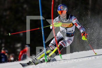 2021-02-21 - Alexis PINTURAULT (FRA) - 2021 FIS ALPINE WORLD SKI CHAMPIONSHIPS - SLALOM - MEN - ALPINE SKIING - WINTER SPORTS