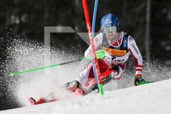 2021-02-21 - Marco SCHWARZ (AUT) - 2021 FIS ALPINE WORLD SKI CHAMPIONSHIPS - SLALOM - MEN - ALPINE SKIING - WINTER SPORTS