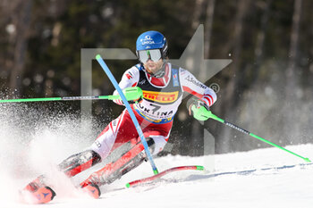 2021-02-21 - Marco SCHWARZ (AUT) - 2021 FIS ALPINE WORLD SKI CHAMPIONSHIPS - SLALOM - MEN - ALPINE SKIING - WINTER SPORTS