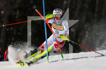 2021-02-21 - Daniel YULE (SUI) - 2021 FIS ALPINE WORLD SKI CHAMPIONSHIPS - SLALOM - MEN - ALPINE SKIING - WINTER SPORTS