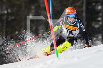 2021-02-21 - Filip ZUBCIC (CRO) - 2021 FIS ALPINE WORLD SKI CHAMPIONSHIPS - SLALOM - MEN - ALPINE SKIING - WINTER SPORTS