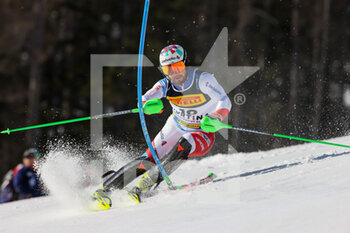 2021-02-21 - Luca AERNI (SUI) - 2021 FIS ALPINE WORLD SKI CHAMPIONSHIPS - SLALOM - MEN - ALPINE SKIING - WINTER SPORTS