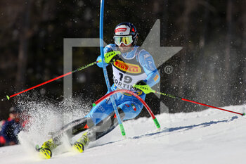 2021-02-21 - Manfred MOELGG (ITA) - 2021 FIS ALPINE WORLD SKI CHAMPIONSHIPS - SLALOM - MEN - ALPINE SKIING - WINTER SPORTS