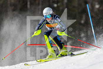 2021-02-21 - Kristoffer JAKOBSEN (SWE) - 2021 FIS ALPINE WORLD SKI CHAMPIONSHIPS - SLALOM - MEN - ALPINE SKIING - WINTER SPORTS