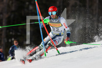 2021-02-21 - Stefan HADALIN (SLO) - 2021 FIS ALPINE WORLD SKI CHAMPIONSHIPS - SLALOM - MEN - ALPINE SKIING - WINTER SPORTS
