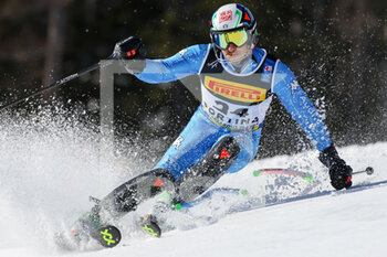 2021-02-21 - Stefano GROSS (ITA) - 2021 FIS ALPINE WORLD SKI CHAMPIONSHIPS - SLALOM - MEN - ALPINE SKIING - WINTER SPORTS