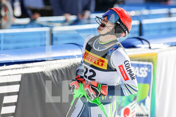 2021-02-21 - Stefan HADALIN (SLO) - 2021 FIS ALPINE WORLD SKI CHAMPIONSHIPS - SLALOM - MEN - ALPINE SKIING - WINTER SPORTS