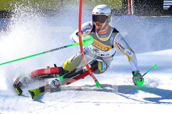 2021-02-21 - FOSS-SOLEVAAG Sebastian (NOR) Gold medal - 2021 FIS ALPINE WORLD SKI CHAMPIONSHIPS - SLALOM - MEN - ALPINE SKIING - WINTER SPORTS