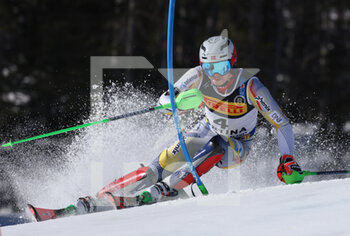 2021-02-21 - 2021 FIS ALPINE WORLD SKI CHAMPIONSHIPS, SL MEN
Cortina D'Ampezzo, Veneto, Italy
2021-02-21 - Sunday
Image shows 
KRISTOFFERSEN Henrik (NOR) Bronz Medal  - 2021 FIS ALPINE WORLD SKI CHAMPIONSHIPS - SLALOM - MEN - ALPINE SKIING - WINTER SPORTS