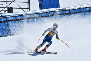 2021-02-26 - Breezy Johnson (1 USA) - 2021 AUDI FIS SKI WORLD CUP VAL DI FASSA - DOWNHILL WOMEN - ALPINE SKIING - WINTER SPORTS