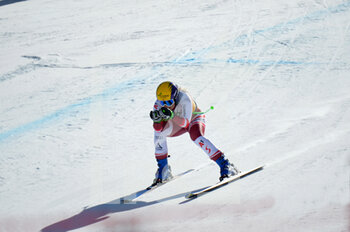 2021-02-26 - Tamara Tippler - 2021 AUDI FIS SKI WORLD CUP VAL DI FASSA - DOWNHILL WOMEN - ALPINE SKIING - WINTER SPORTS