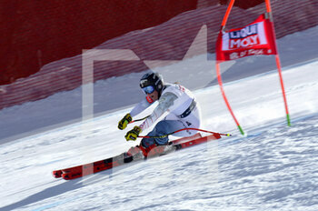 2021-02-28 - Breezy Johnson - 2021 AUDI FIS SKI WORLD CUP VAL DI FASSA - SUPERG WOMEN - ALPINE SKIING - WINTER SPORTS