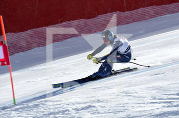 2021-02-28 - Francesca marsaglia - 2021 AUDI FIS SKI WORLD CUP VAL DI FASSA - SUPERG WOMEN - ALPINE SKIING - WINTER SPORTS